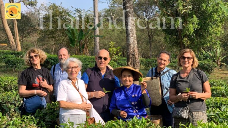 Thailandream: Viaggi su misura in Thailandia