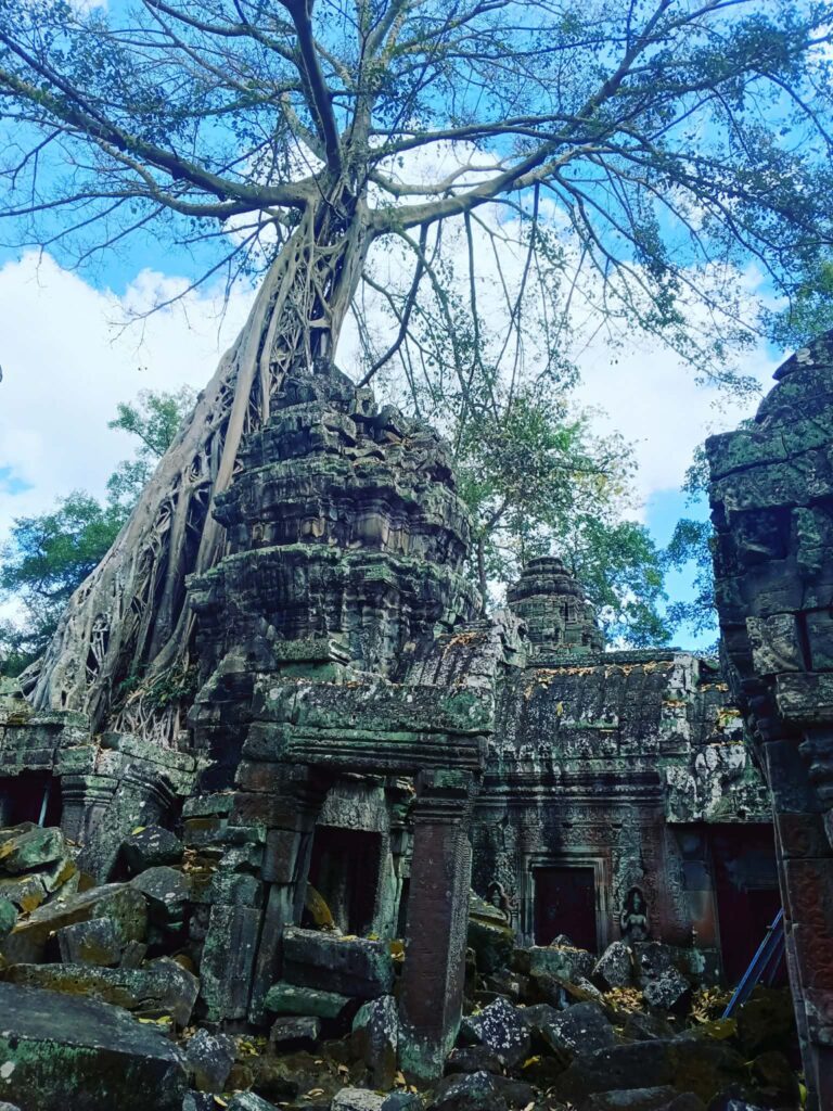 Tempio di Angkor, Cambogia