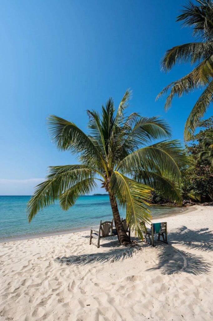 Spiaggia con palme in Thailandia