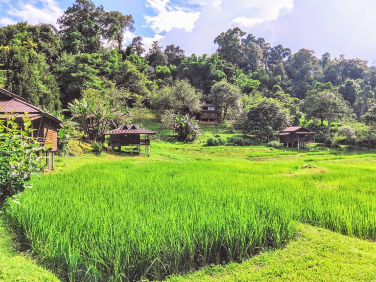 Thailandream Travelife Partner - turismo sostenibile