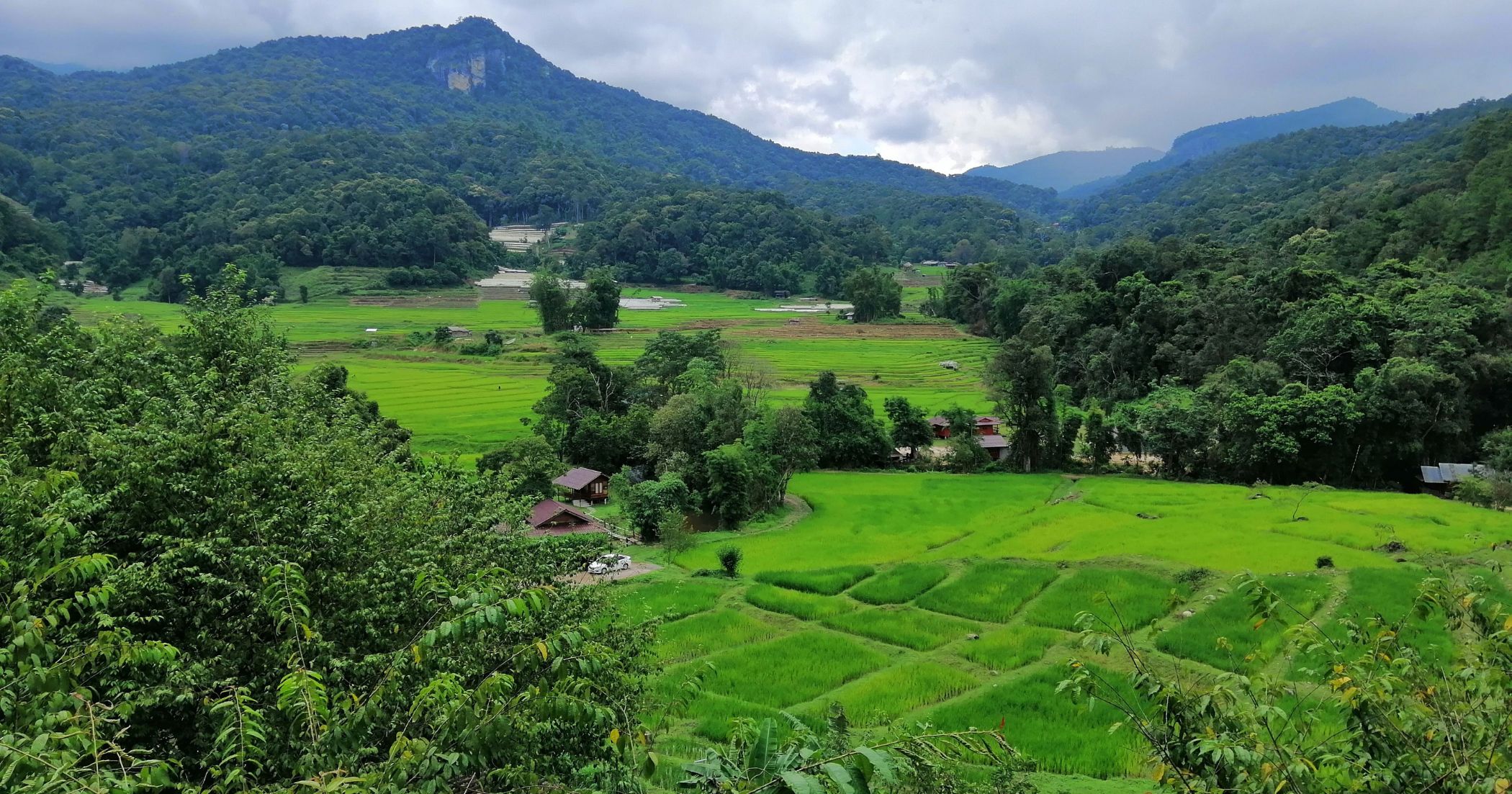 Risaie e montagne del Nord della Thailandia